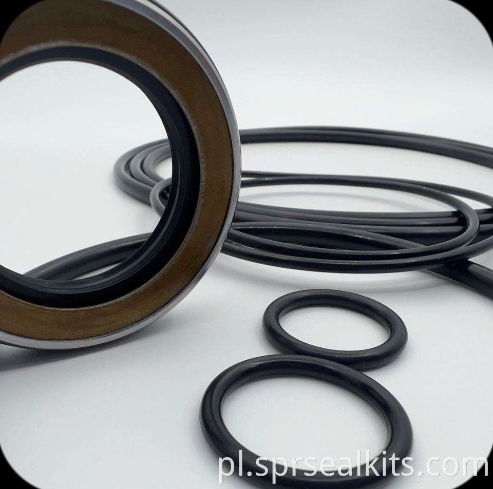 66 Swing Motor Seal Repair Kit